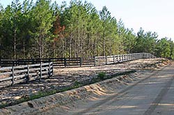 Suwannee Plantation Apple Jack Road