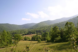 Bearback Ridge Bearback Ridge