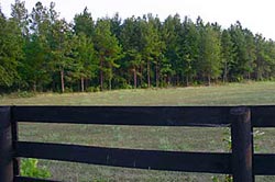 Dr. Boylston Road, Salley SC Land