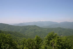 Hickory Cove Preserve Hickory Cove Preserve